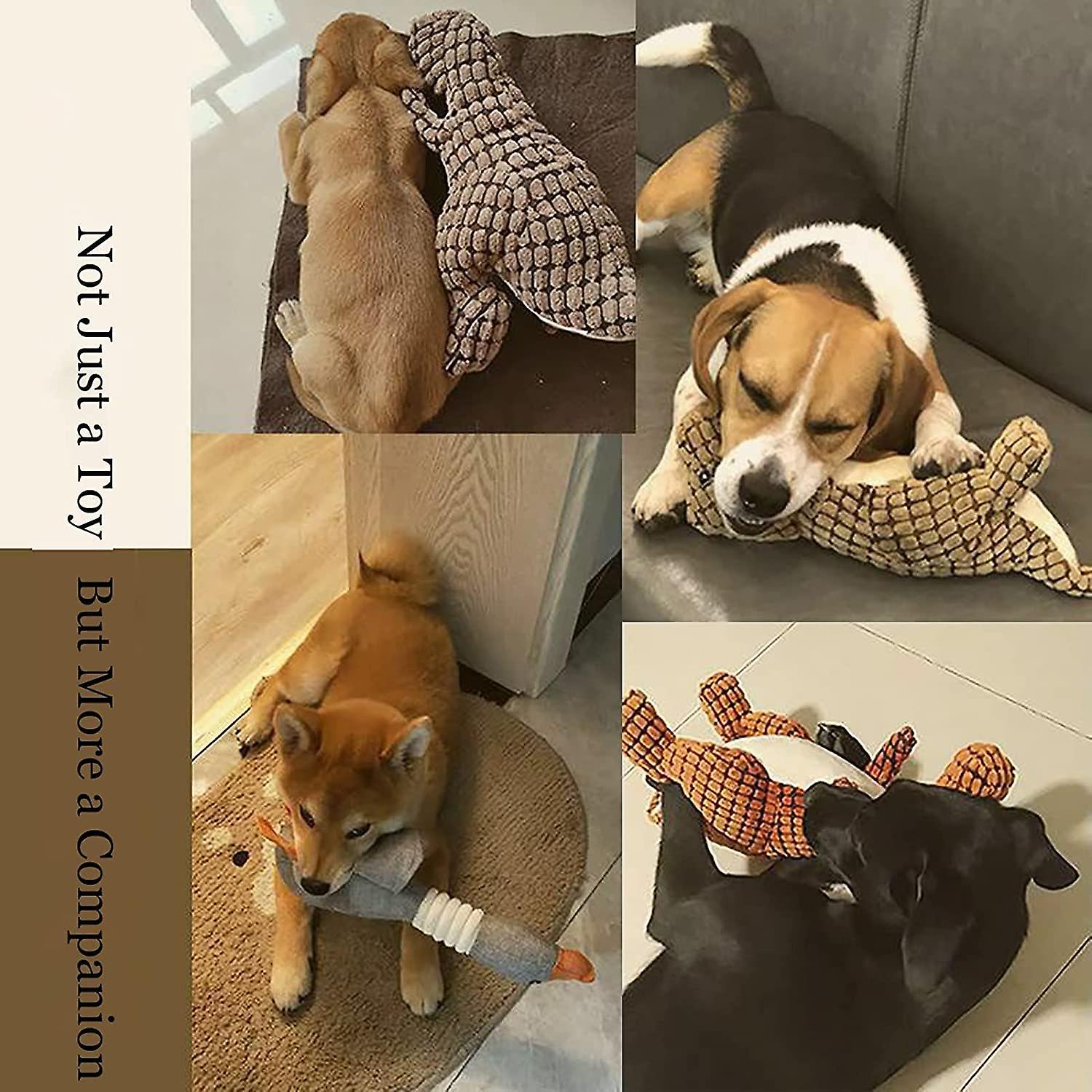 Jouet Pour Chien Ours Couineur Robuste - Taille Moyenne, Peluche Quasi Indestructible Pour Mâcheurs Agressifs Petits/moyens