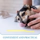thumbnail image 2 of ColoMX Cepillo de dientes suave para mascotas, cepillo de dientes para perros y gatos, cepillo de dientes con mango largo y cabeza puntiaguda para razas pequeñas, cachorros, mascotas, cuidado bucal, 2 of 8