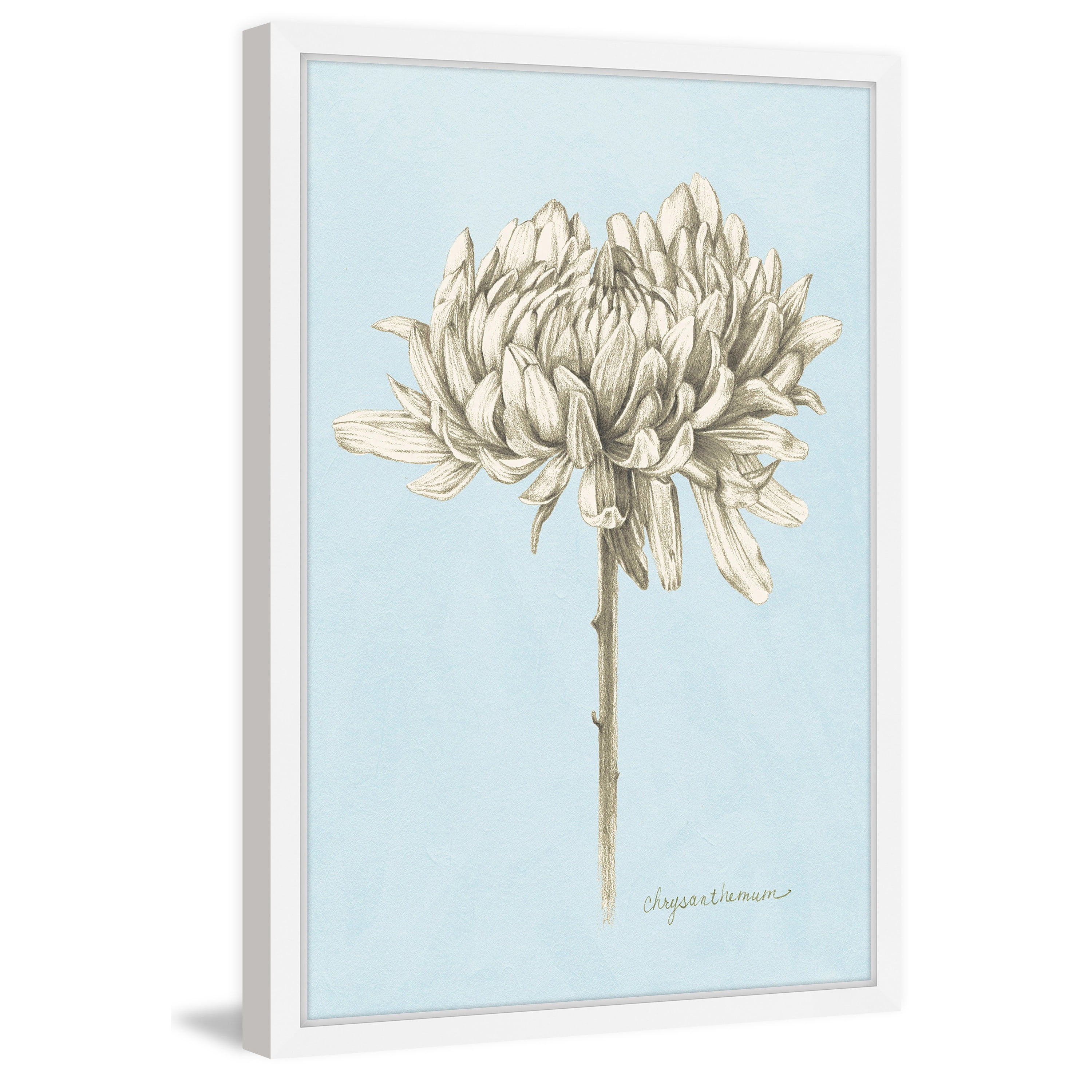 Marmont Hill Botanical Study II Framed Wall Art