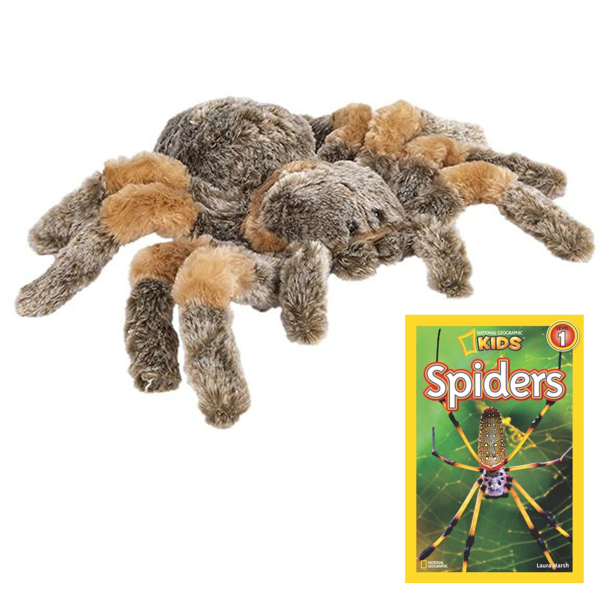 stuffed tarantula