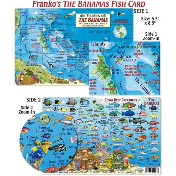 Franko Maps - Bahamas Fish ID