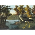 thumbnail image 2 of Audubon, John James 32x24 White Modern Wood Framed Museum Art Print Titled - Yellow Shank, 2 of 4