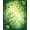 Green, Pattern 1, variant on Flatwoven High Traffic Area Rug, Evergreen Moss with Layered Botanical Shapes and Subtle Gradient Highlights, Non Slip, Stain Resistant, Washable Area Rugs for Living Room, Bedroom(Green, 2X3)