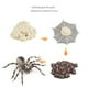 thumbnail image 1 of Figuras de animales realistas - Modelo de acción de araña Figuras de juguete de insectos realistas - Juego de cumpleaños de juguetes educativos de aprendizaje (Tarántula), 1 of 5