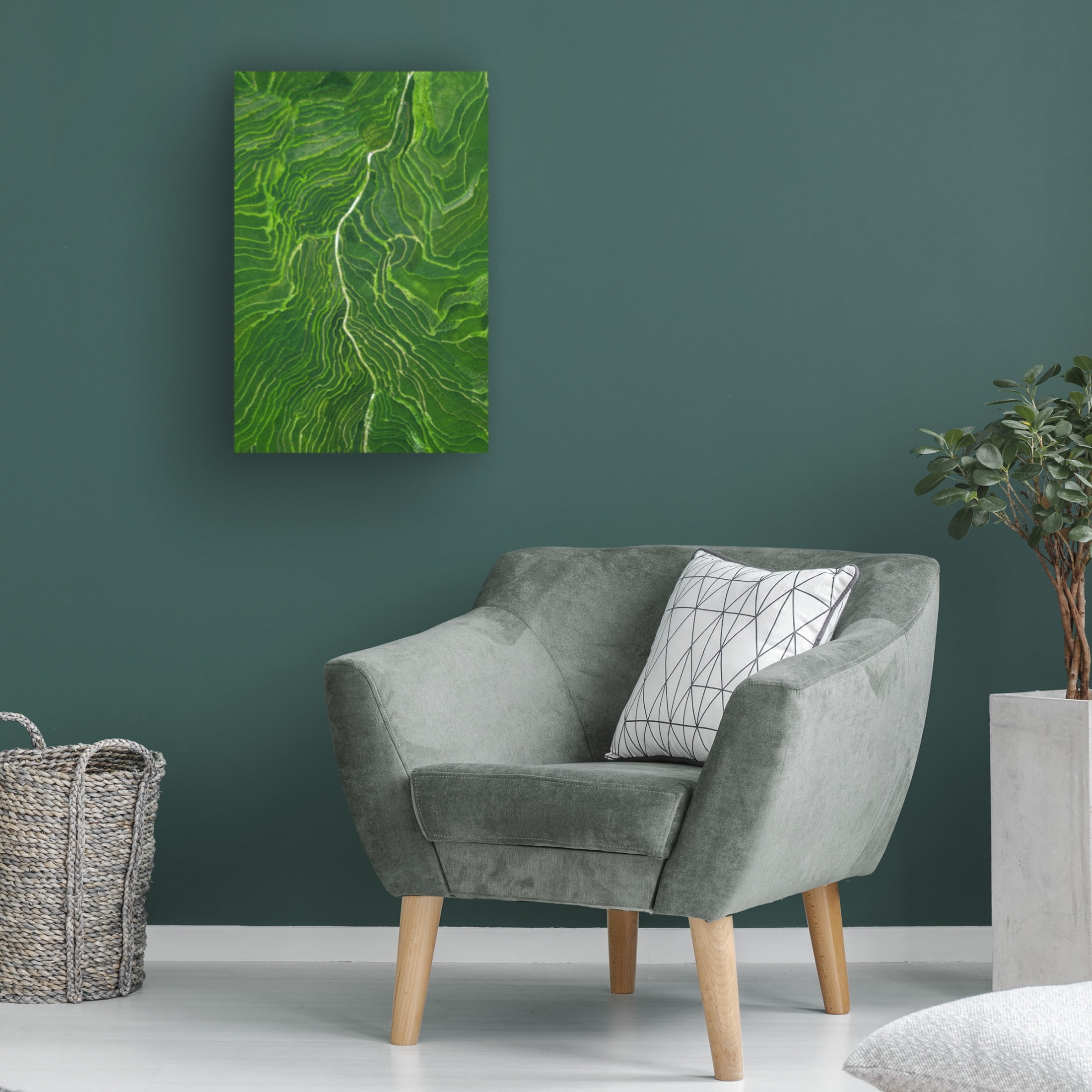 Canvas Wall Art - Tianqi 'Vein' Wall Art for Living Room, Bedroom, or Office Décor by Trademark Fine Art - 12 x 19 Inches