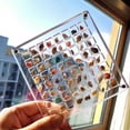 thumbnail image 5 of Steadline Acrylic Magnetic Seashell Display Case - Transparent Collectible Storage Box with Secure Closure - Beach Souvenir Organizer for Small Treasures - Multi-Purpose Jewelry Case, 5 of 5