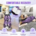 thumbnail image 6 of AUTOWT Recovery Suit for Dogs, Zipper Onesie for Male & Female Dogs, Abdominal Wound & Licking Prevention, Cone E-Collar Alternative, 6 of 7