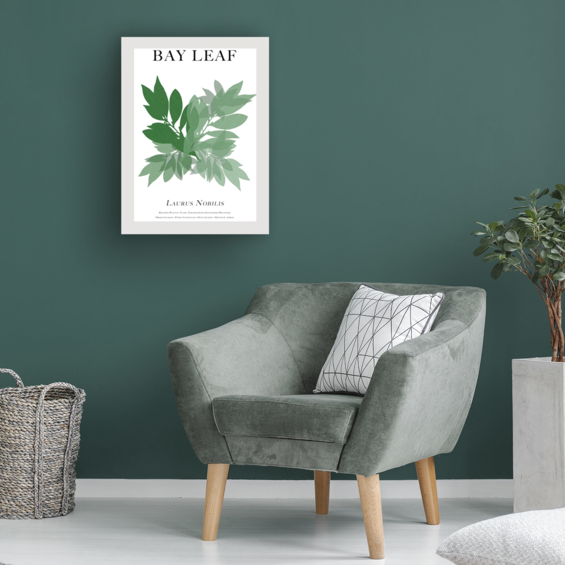 Trademark Fine Art Cartissi   Bay Leaf Canvas Wall Art