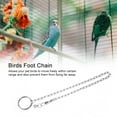 thumbnail image 4 of Arnés de entrenamiento para tobillera con cadena para pies de loros y pájaros de acero inoxidable (Psittacula eupatria), 4 of 8