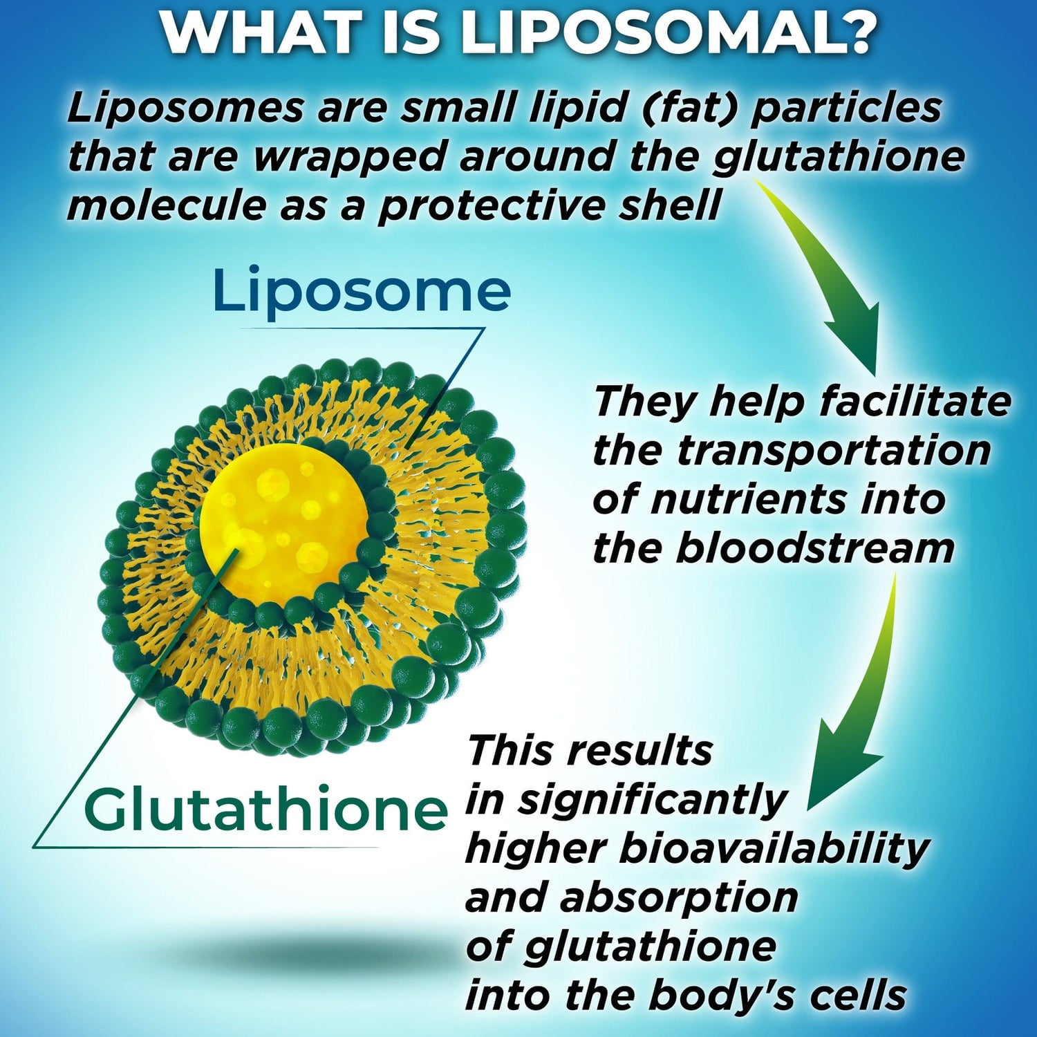 Liposomal Glutathione 500mg with Whole Foods, Barbados