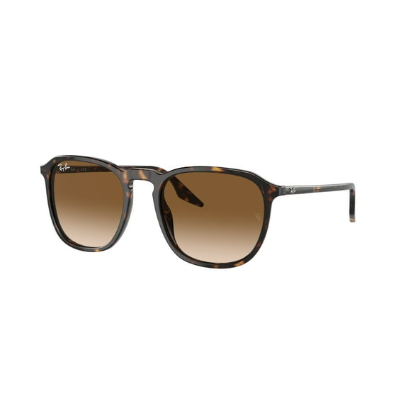 Sunglasses Ray-Ban RB 2203 902/51 Havana Clear Gradient Brown