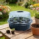 thumbnail image 1 of Kit de iniciación de semillas de 13 agujeros con cúpula de humedad | Ventilación ajustable y tapa transparente | Bandeja de propagación de plástico reutilizable para cultivo de plantas en interior y, 1 of 6
