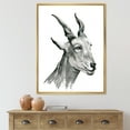 thumbnail image 2 of Designart 'Black and White Portrait Of Goat I' Farmhouse Framed Canvas Wall Art Print, 2 of 5