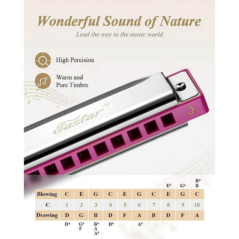 Professionele Harmonica 10 Gaten 20 Tonen C-toets Diatonische Mondharmonica Voor Volwassenen Beginners Studenten (Color : 05