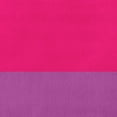 thumbnail image 2 of Simply Daisy 20 inch Bisexual Flag Decorative Throw Pillow, 2 of 3