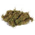 thumbnail image 1 of Moss For Reptiles, Water Absorption Reptile Moss, Moisturizing Breathable For Pet, 1 of 8