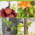 thumbnail image 4 of EGYMEN Leaf Shaped Nylon Cable Ties, Plant Ties for Organizing Plants, Decorative Leaf Ties for Gardening, Weatherproof Nylon Plant Support Ties, 4 of 6