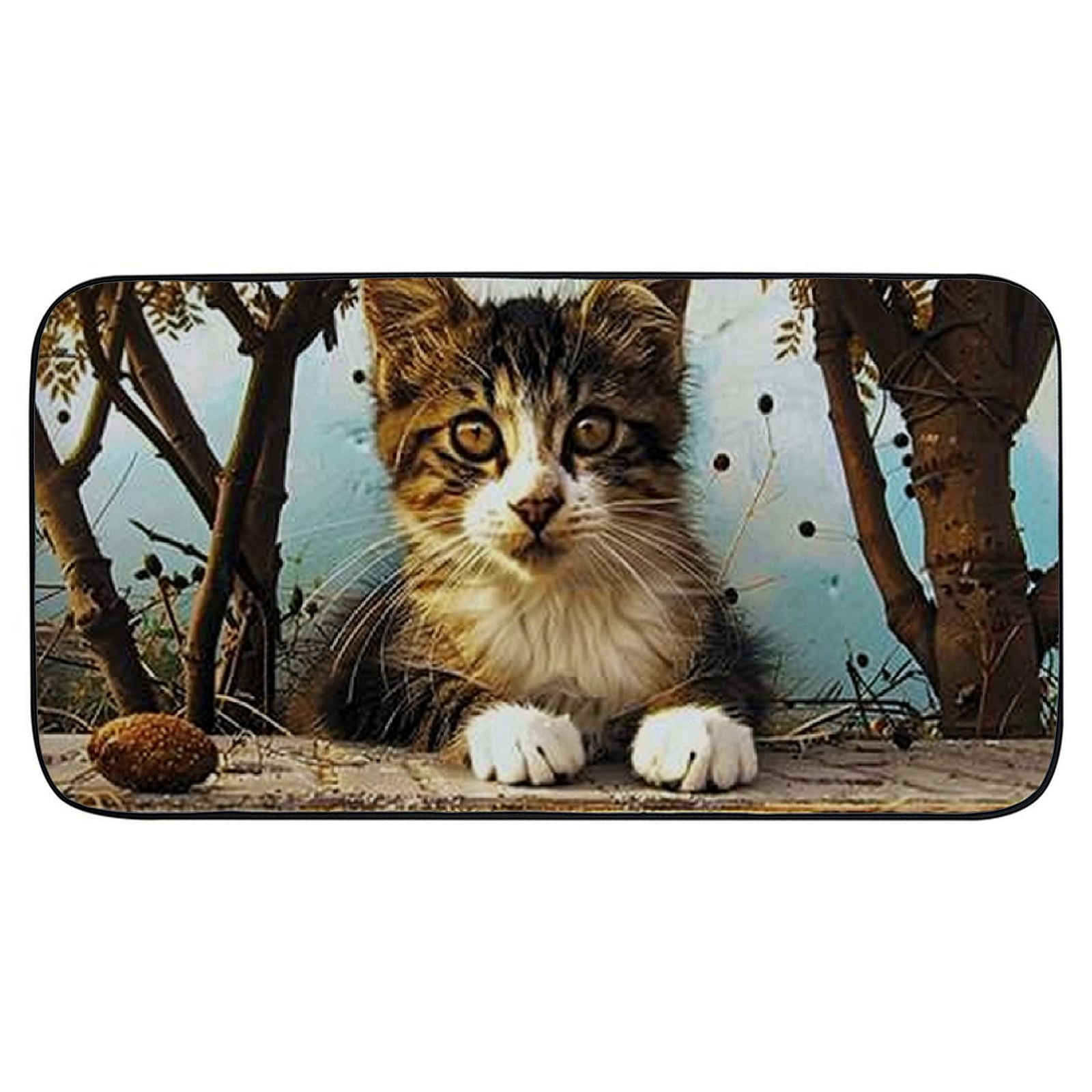 PHYHOO Doormat Floor Rug/Mat - Cat Cat Face Animal Cute Cat Cat Eyes Animals Decorative Door Mat, Door Mat with Non-Slip Rubber Backing, Easy Cleaning, Traps Dirt, Rug for Entry, Patio