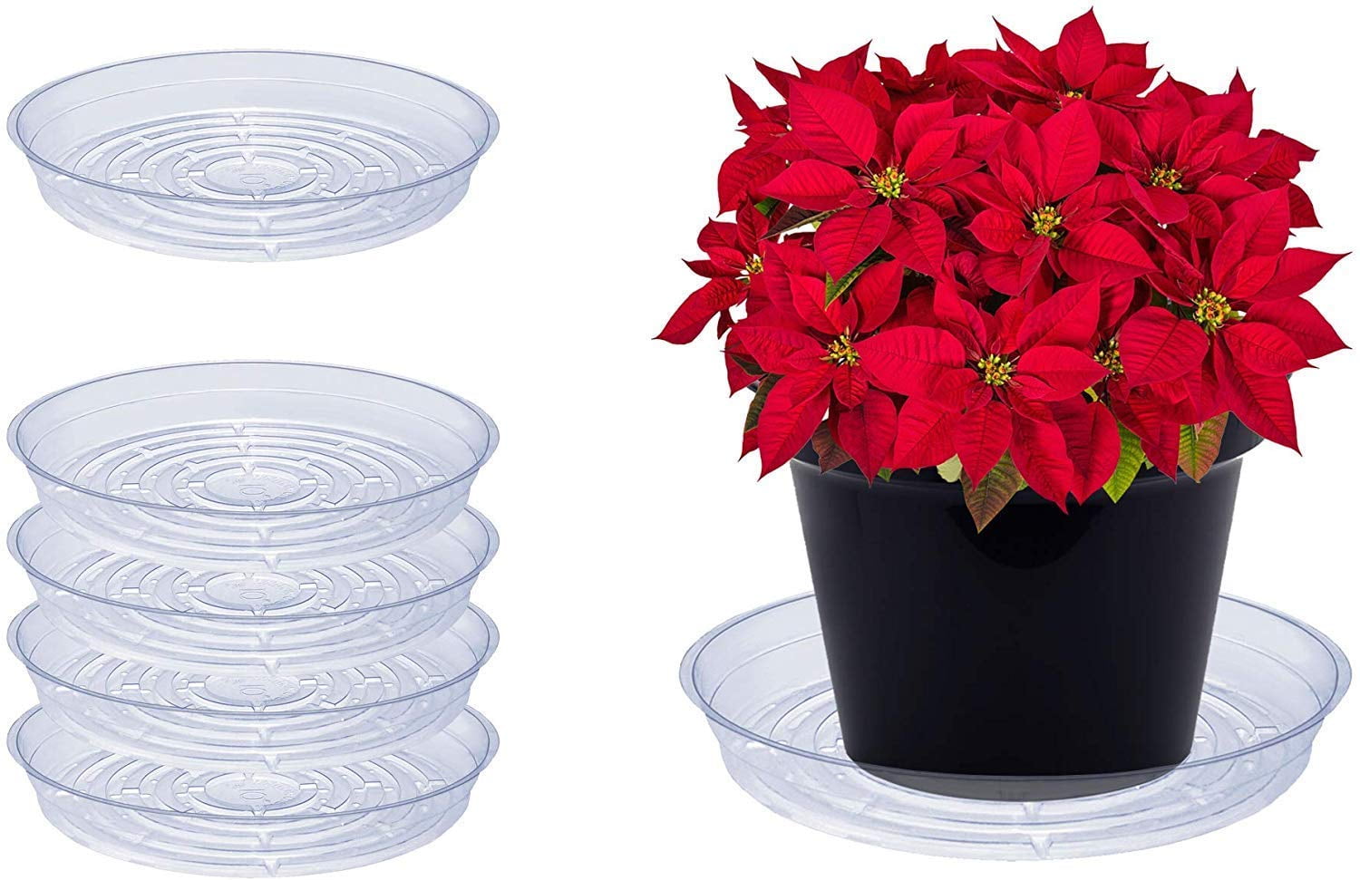My Homeware Fix 15-Pack Clear Plastic Plant Pot Saucer to Prevent Water Spills – Drip Trays for Indoors and Outdoors – Saucers are 3 Sizes – 6 and 10 inches large medium small 8 