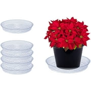 Curtis Wagner Plastics Drip Pan Plant Saucers (5-Pack) - Clear, Round (Diameter: 5" Base, 6" Top, 1.25" Depth) Thin Plastic Planter to be Used as Indoor Pot & for Outdoor Plant Pots