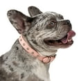 thumbnail image 3 of Vibrant Life Polyester Rhinestone Dog Collar, Medium, Pink, 3 of 10