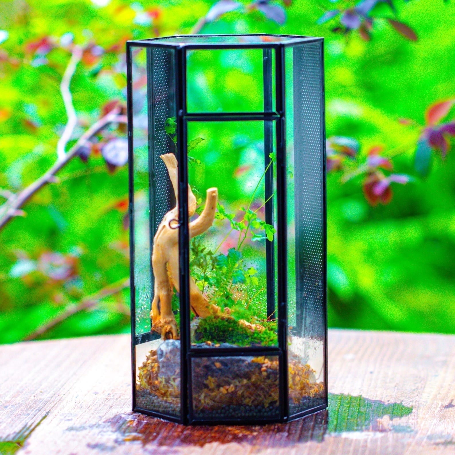 NCYP Small Stainless Steel Hexagon Shaped Enclosure Terrarium with Mesh, 4.9x4.3x9.4 inches Tabletop Jumping Spider, Small Insect Habitat, Vertical Placed (Terrarium Only)