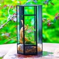 thumbnail image 5 of NCYP Small Stainless Steel Hexagon Shaped Enclosure Terrarium with Mesh, 4.9x4.3x9.4 inches Tabletop Jumping Spider, Small Insect Habitat, Vertical Placed (Terrarium Only), 5 of 16