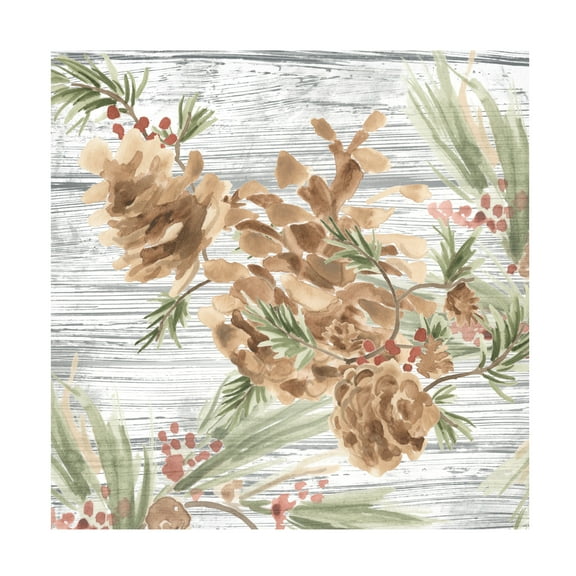 June Erica Vess 'Pinecone Lodge III' Canvas Art