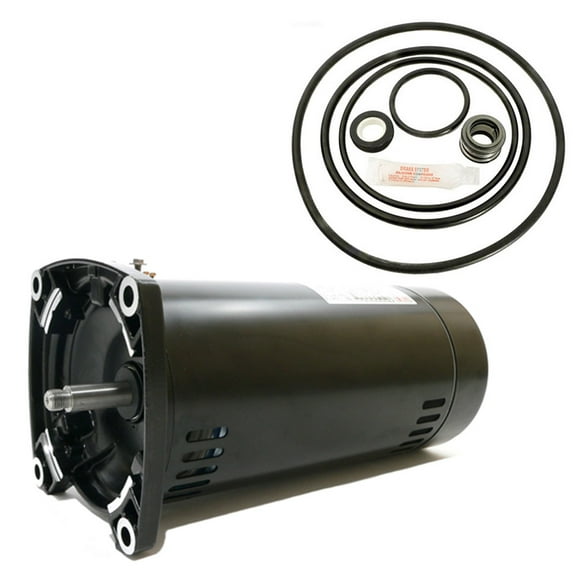 Puri Tech Replacement Motor Kit for Sta-Rite Dyna-Max 1HP MPEA6E147L AO Smith USQ1102 w/ GO-KIT-47