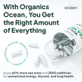 thumbnail image 3 of Organics Ocean Wild Sea Moss Supplement – 100% Organic Irish Sea Moss with Chlorella & PhytoD3(TM) – 60 Capsules – Energy & Thyroid Support, 3 of 9