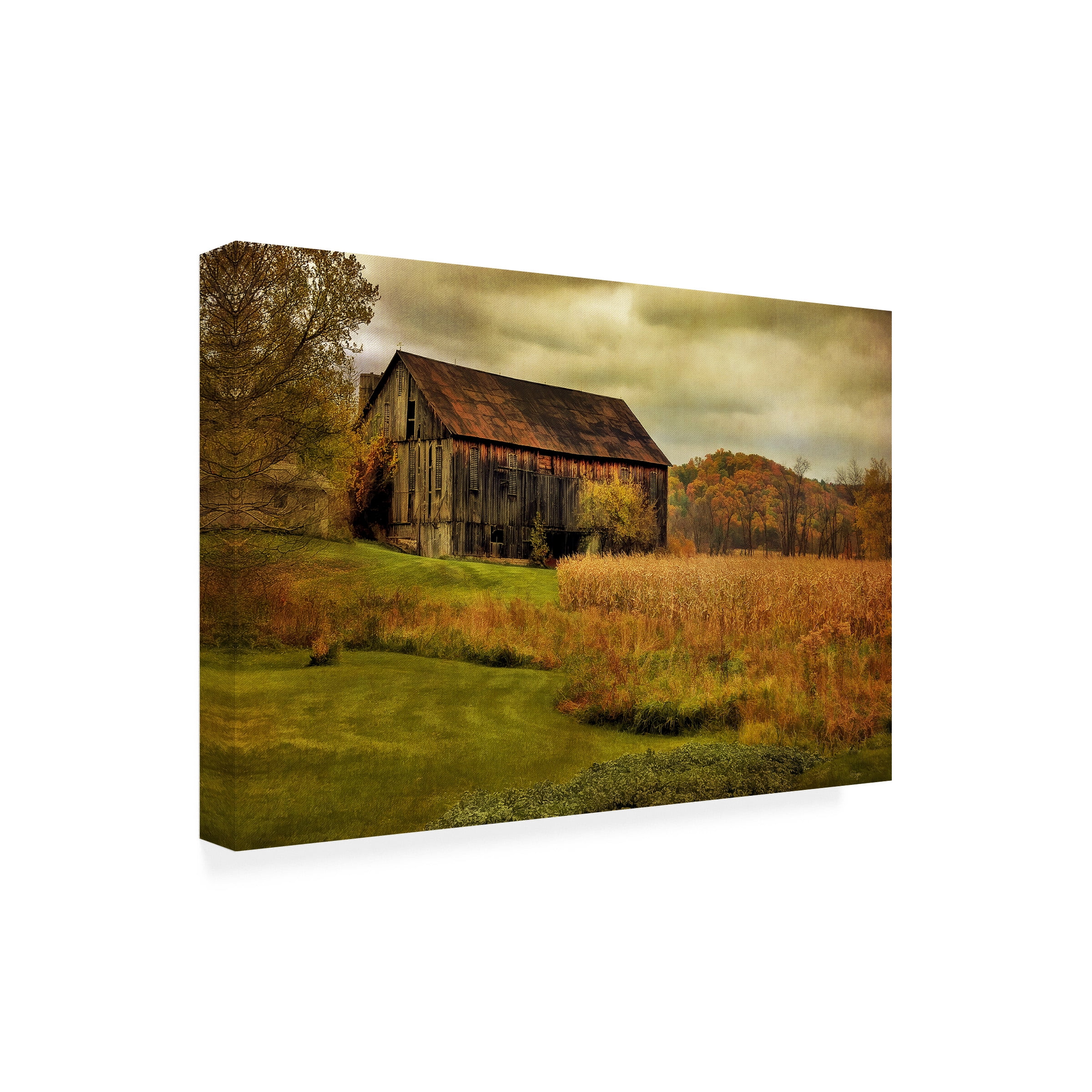 Lois Bryan 'Old Barn on Rainy Day' Outdoor Canvas 12x19