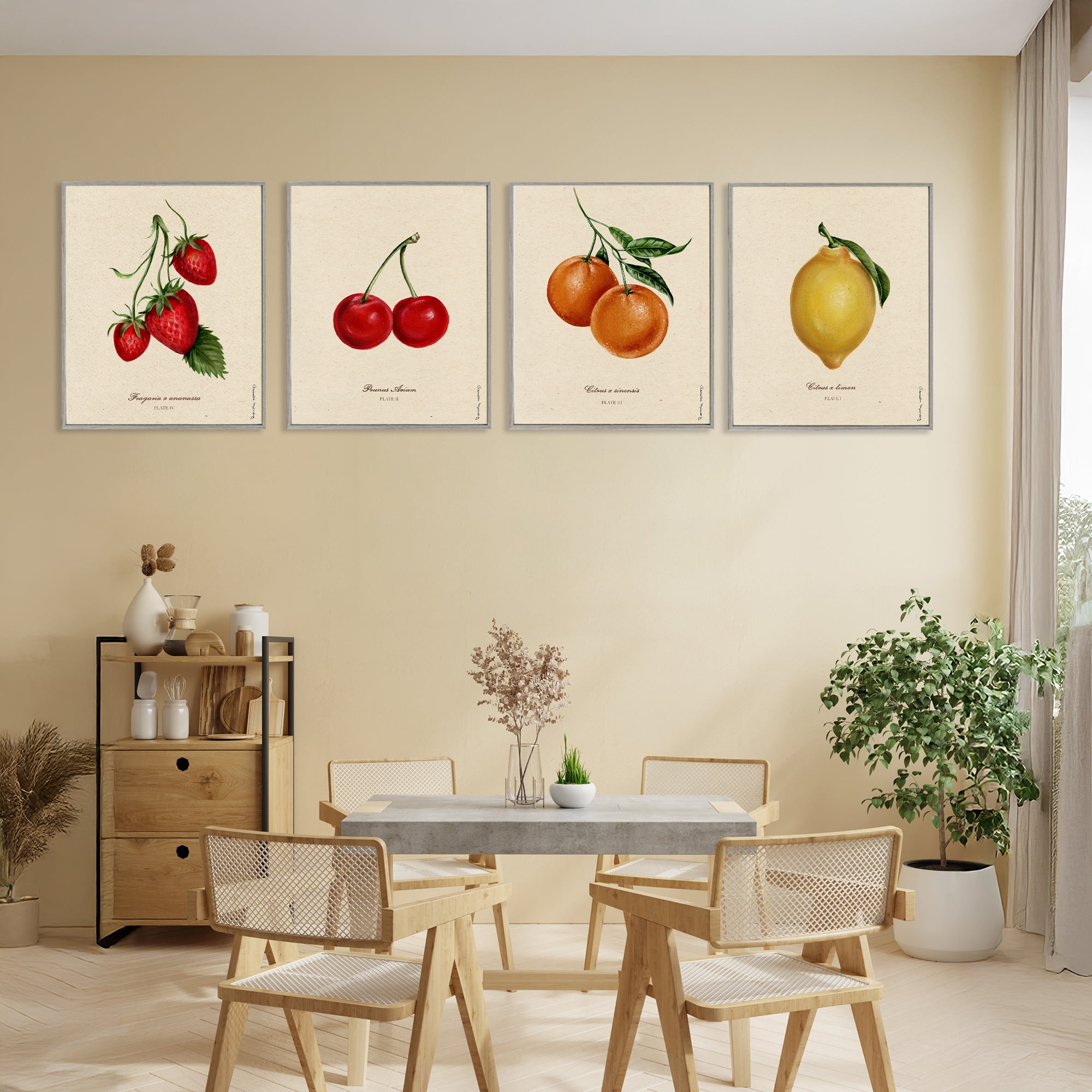 Stupell Industries Vintage Fruit Portraits 4 Piece Gray Framed Giclee Art Set, design by Danielle Murray