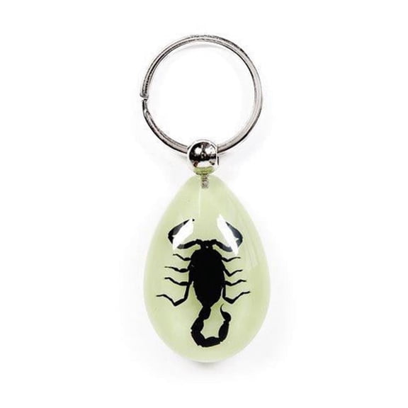 YK608 Real Bug Key Chain-Tear Drop Shape-Glow in the Dark-Black Scorpion
