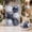 A, variant on Christmas Ornaments 6 Pcs Toile Print Fabric Wrapped Christmas Balls, Vintage Chinoiserie Xmas Tree Decorations With Velvet Ribbon for Garland Wreath Mantel Holiday Decor 3 inch A