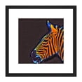 thumbnail image 1 of Multicoloured Zebra Head Animal Photo Illustration 8X8 Inch Square Wooden Framed Wall Art Print Picture with Mount, 1 of 4