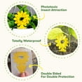 thumbnail image 7 of BugMD Sticky Bug Traps (12 Pack) - Indoor Fruit Fly Killer, Fungus Gnat Killer, Plant Sticky Traps for Bugs, Yellow Sticky Fly Traps for Plants, Gnat for Plants, Odorless, 7 of 7