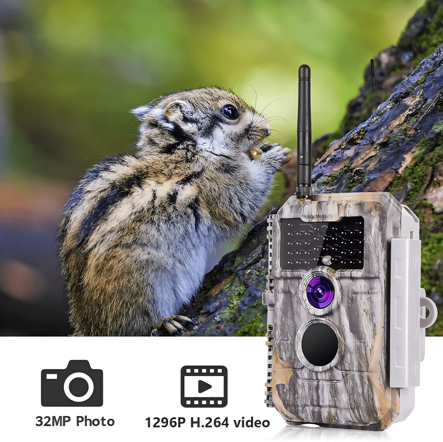 BlazeVideo 32MP 1296P WiFi Trail Camera - No Glow Night Vision, Motion Activated, Waterproof | Send Photos to Phone via App | for Wildlife Hunting & Home Security
