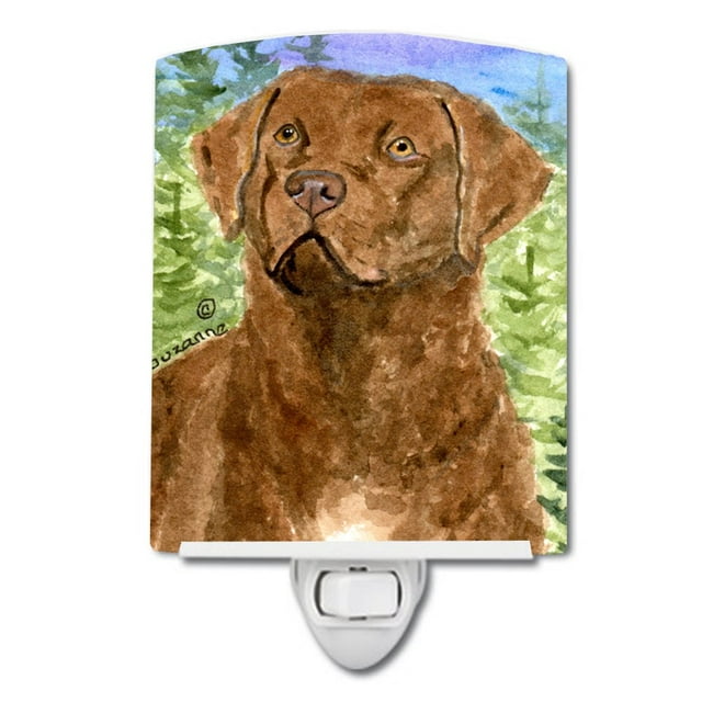 Caroline'S Treasures Ss8933Cnl Chesapeake Bay Retriever Luz Nocturna De Cerámica Compacta Con Certificación Ul, Ideal Para Dormitorio, Baño, Guardería, Pasillo, Cocina, 6 X 4 X 3, Multicolor