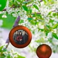 thumbnail image 6 of The Vampire Diaries Characters Christmas Balls Sparkling Christmas Tree Hanging Ornaments Party Home Decor Xmas Christmas Gifts, 6 of 8