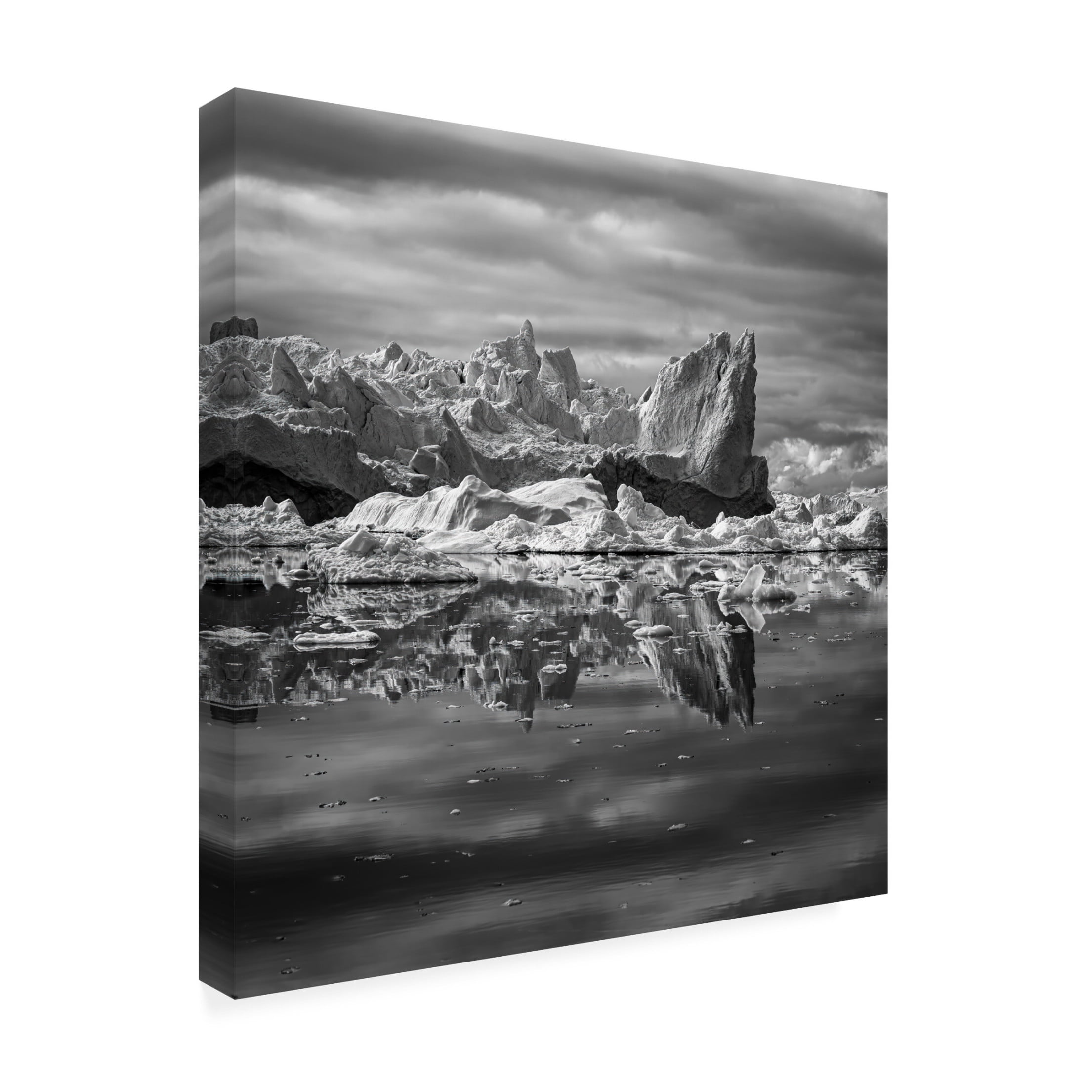 Trademark Fine Art Robert Bolton Transience Canvas Wall Art