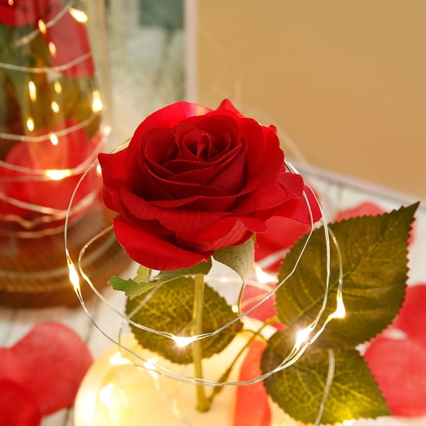 Beauty and The Beast Rose Decor LED Light Battery Powered Light