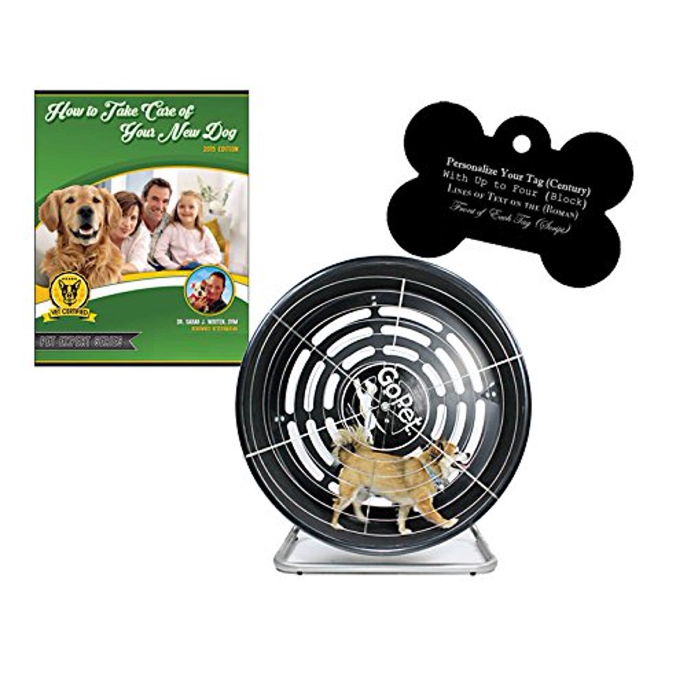 GoPet Small Treadwheel Indoor/Outdoor Dog Exercise Wheel for Dogs Up to