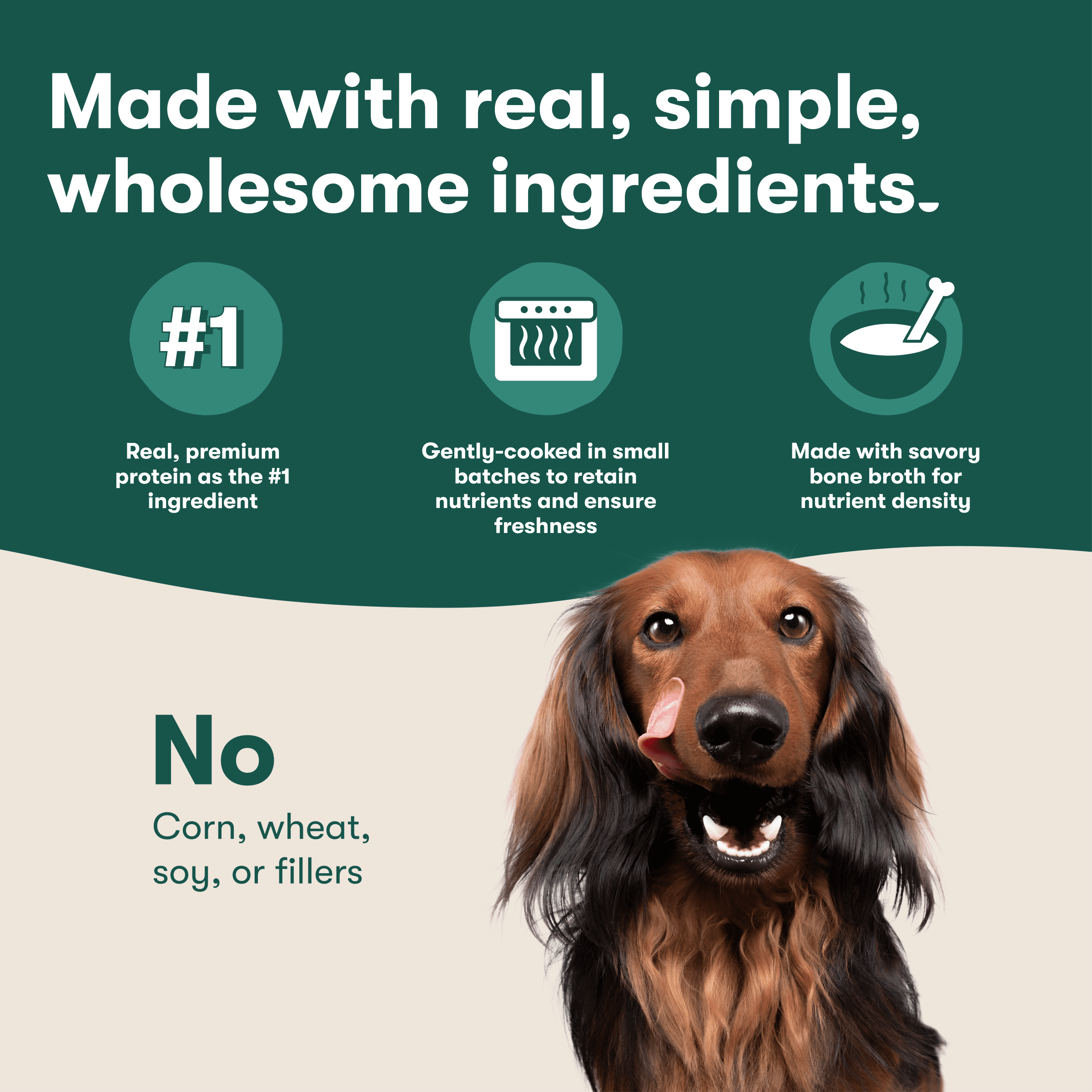 (2 pack) Jinx Homemades Chicken Recipe Wet Natural Dog Food, Whole Grain, 9 oz Pouch