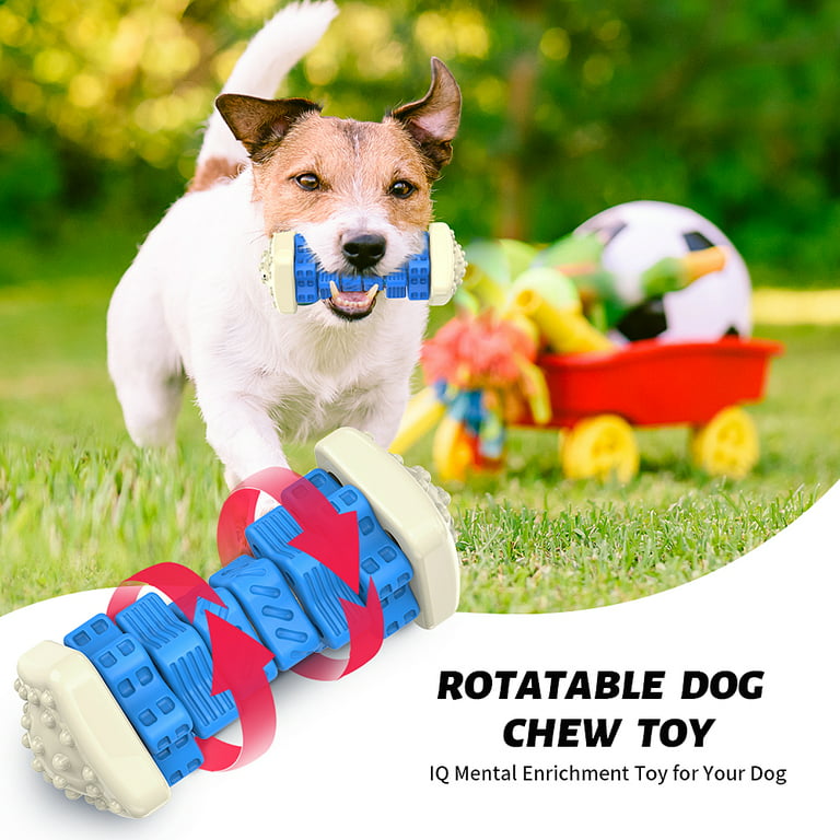 MASBRILL Interactive Dog Chew Toy–Brightly Colored Dog Enrichment Toy for  Aggressive Chewers-Blue