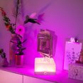 thumbnail image 3 of onlyliua Ofertas Flash Del Día Solo Online Lámpara de Noche Giratoria para Dormitorio con Luz Led para Mesita de Noche, Ambientes de Carga, Decoraciones Decorativas, 3 of 4