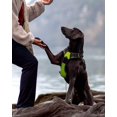 thumbnail image 4 of HAHDAXIA Anti-Pull Dog Harness for Small Dogs, Reflective Soft Padded Dog Harnesses, Adjustable, Breathable Chest Harness with Safe Easy Control Handle, Black, S, 4 of 6