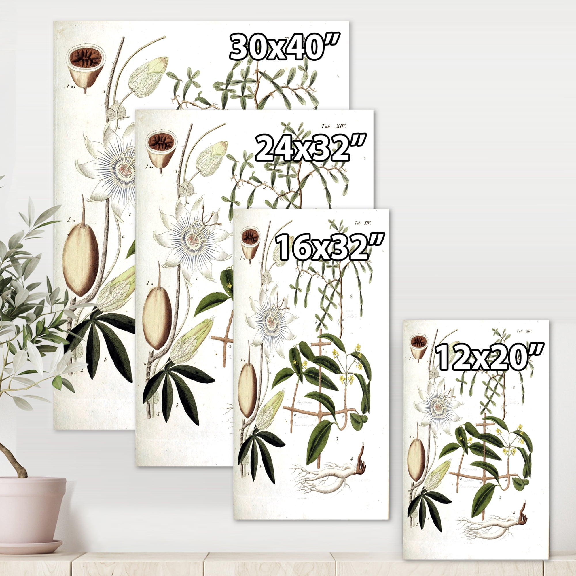 Designart ' Ancient Plant Life IV ' Farmhouse Canvas Wall Art Print