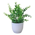 thumbnail image 2 of Limei Mini Fake Succulent Plants Artificial Plastic Succulents Potted Faux Eucalyptus Plants for Home Office Table Decoration (White Plastic Pots), 2 of 4