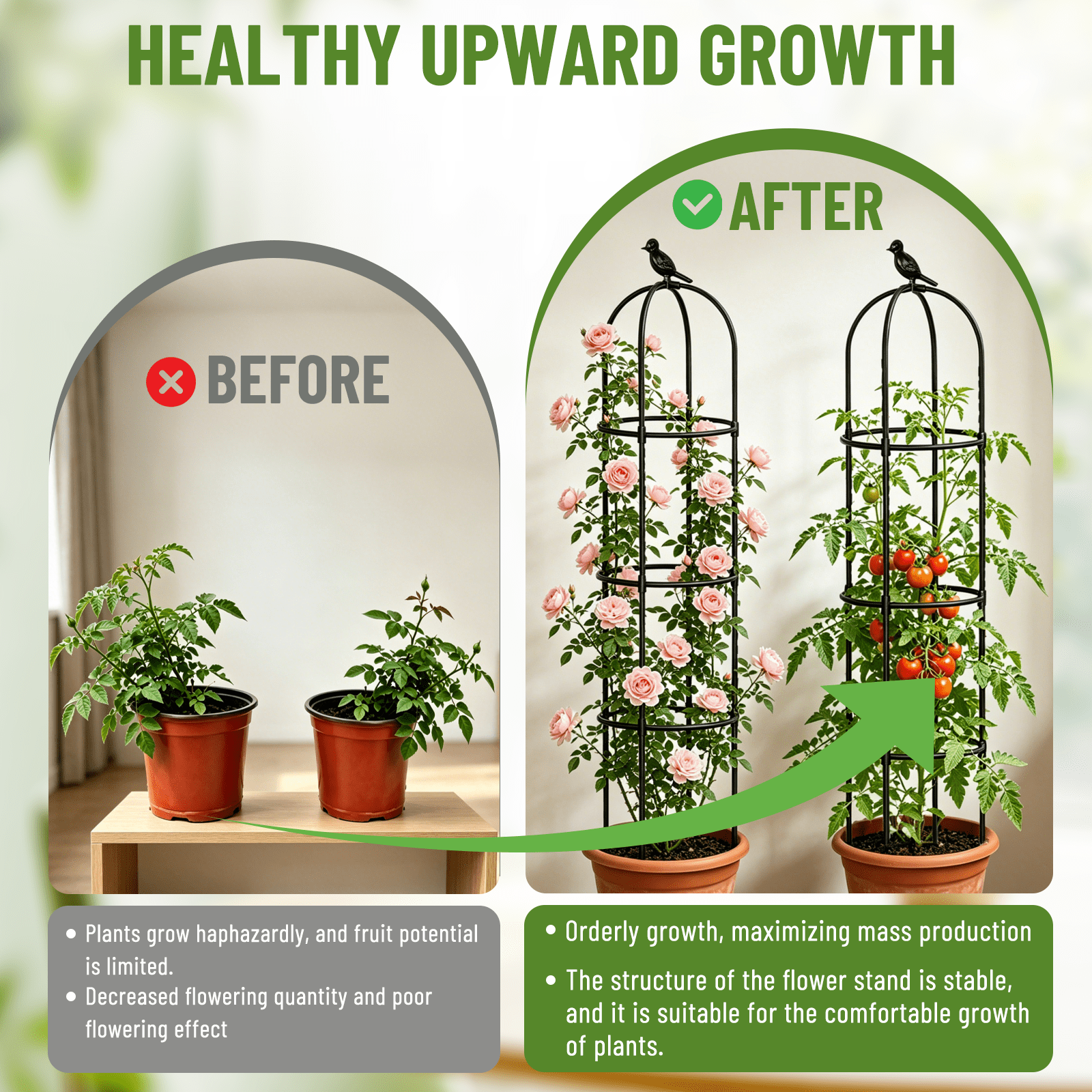 Garden Obelisk Trellis for Climbing Plants Outdoor,63in Tomato Cage, Rose, Flowers, Grape, Pea, Cucumber Trellis, Rustproof Plastic Coated Metal Plant Support Trellis for Potted Plants (2 Pack)