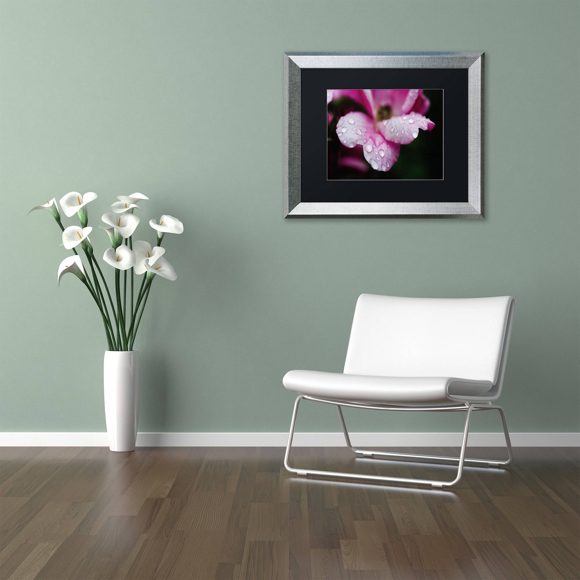 Trademark Fine Art 'Raindrops on Wild Rose Color' Canvas Art by PIPA Fine Art, Black Matte, Silver Frame